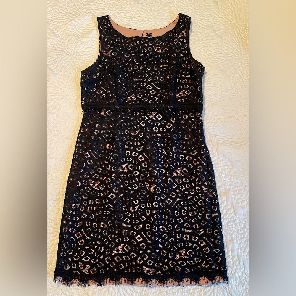Stitch Fix Little black dress with sexy lace overlay size L